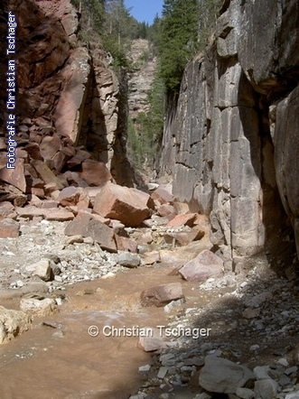 n�chstes Bild anzeigen...