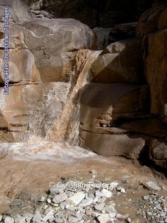 n�chstes Bild anzeigen...