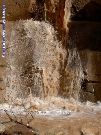 n�chstes Bild anzeigen...