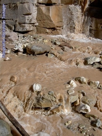 n�chstes Bild anzeigen...