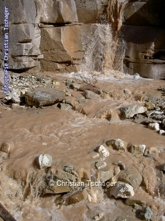 n�chstes Bild anzeigen...