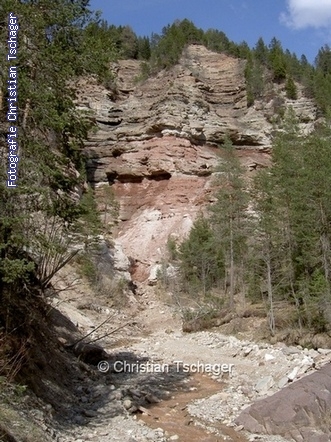 n�chstes Bild anzeigen...