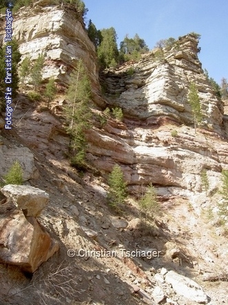 n�chstes Bild anzeigen...