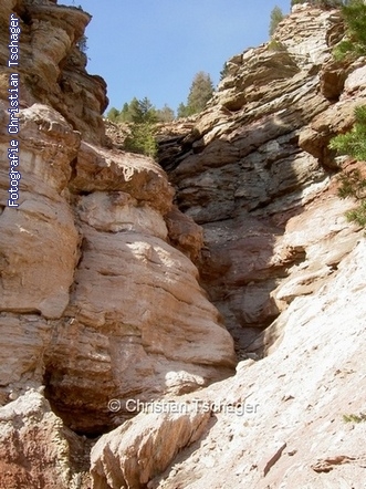 n�chstes Bild anzeigen...