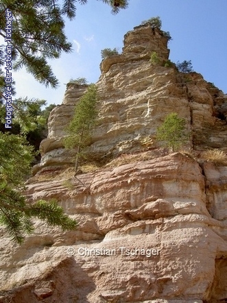 n�chstes Bild anzeigen...