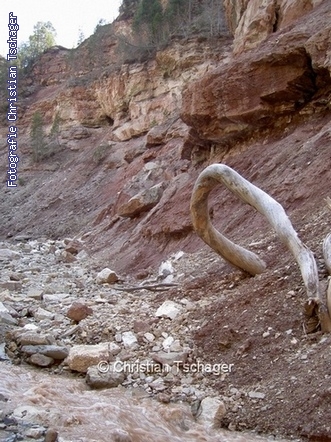 n�chstes Bild anzeigen...