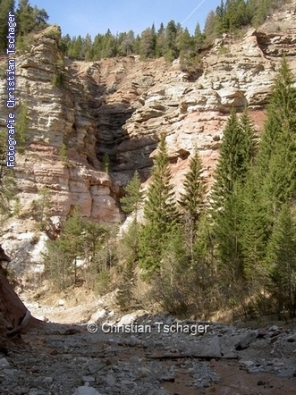 n�chstes Bild anzeigen...