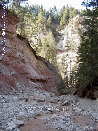 n�chstes Bild anzeigen...