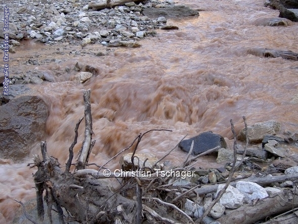 n�chstes Bild anzeigen...