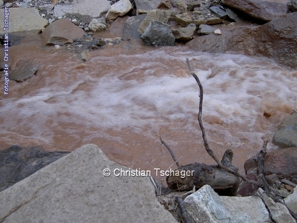 n�chstes Bild anzeigen...