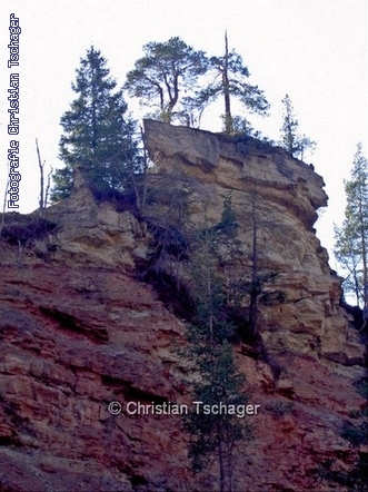 n�chstes Bild anzeigen...