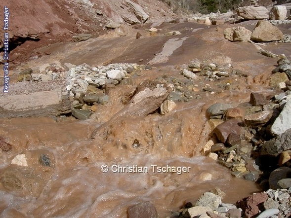 n�chstes Bild anzeigen...