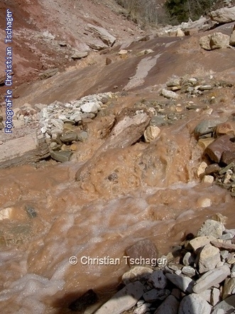 n�chstes Bild anzeigen...