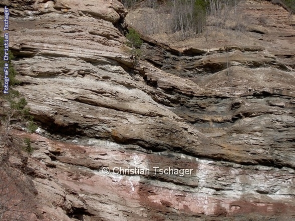 n�chstes Bild anzeigen...