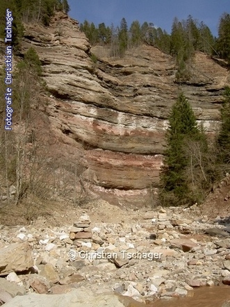 n�chstes Bild anzeigen...