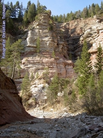 n�chstes Bild anzeigen...