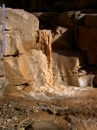 n�chstes Bild anzeigen...