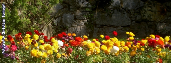 n�chstes Bild anzeigen...