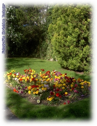 n�chstes Bild anzeigen...