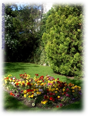 n�chstes Bild anzeigen...