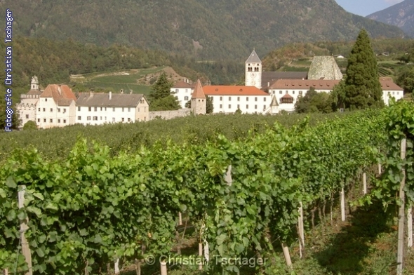 n�chstes Bild anzeigen...