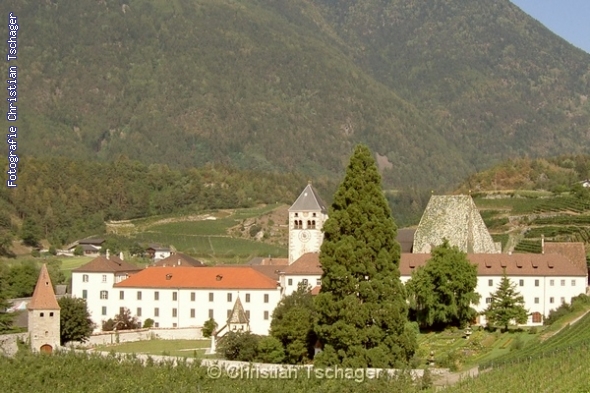 n�chstes Bild anzeigen...