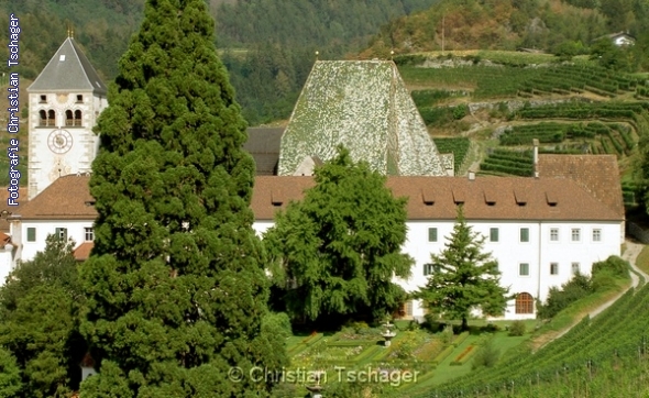 n�chstes Bild anzeigen...