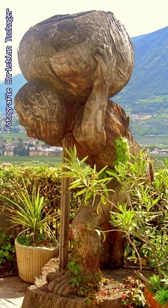 n�chstes Bild anzeigen...