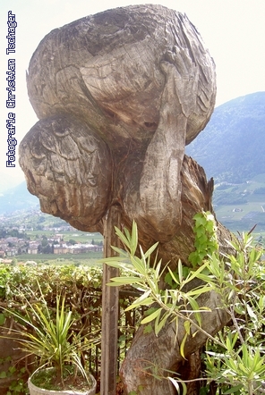 n�chstes Bild anzeigen...