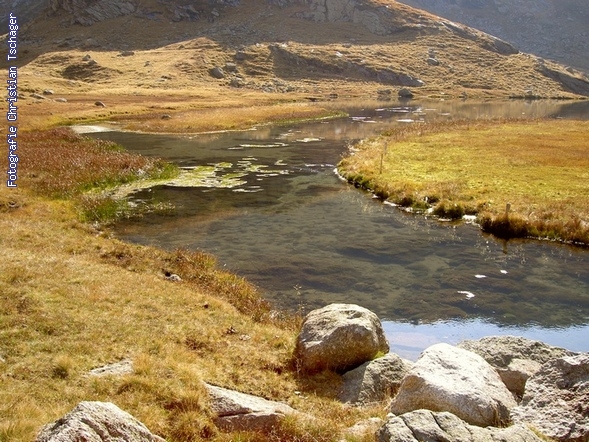 n�chstes Bild anzeigen...