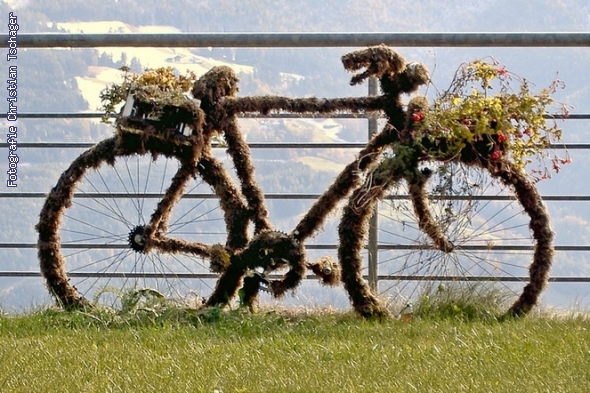 n�chstes Bild anzeigen...