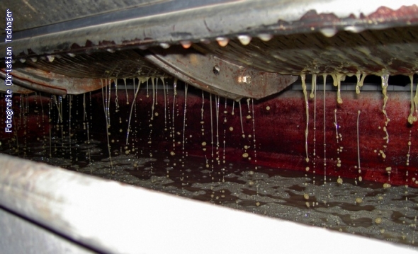 n�chstes Bild anzeigen...