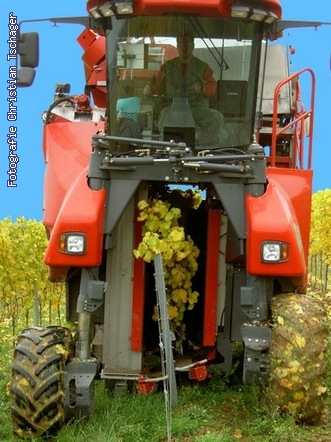 n�chstes Bild anzeigen...