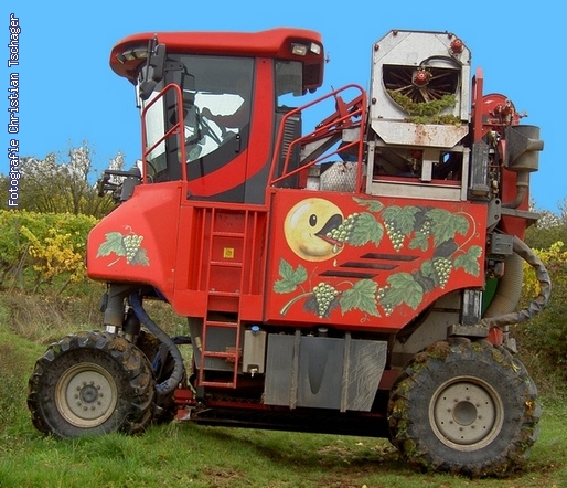 n�chstes Bild anzeigen...